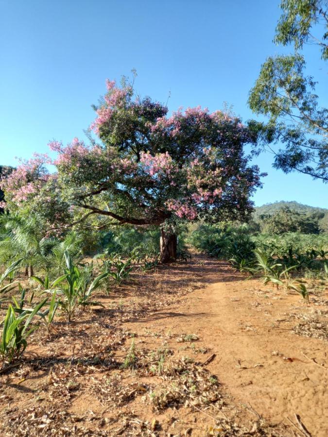 Chale Veredas E Buritis Pirenopolis Ngoại thất bức ảnh