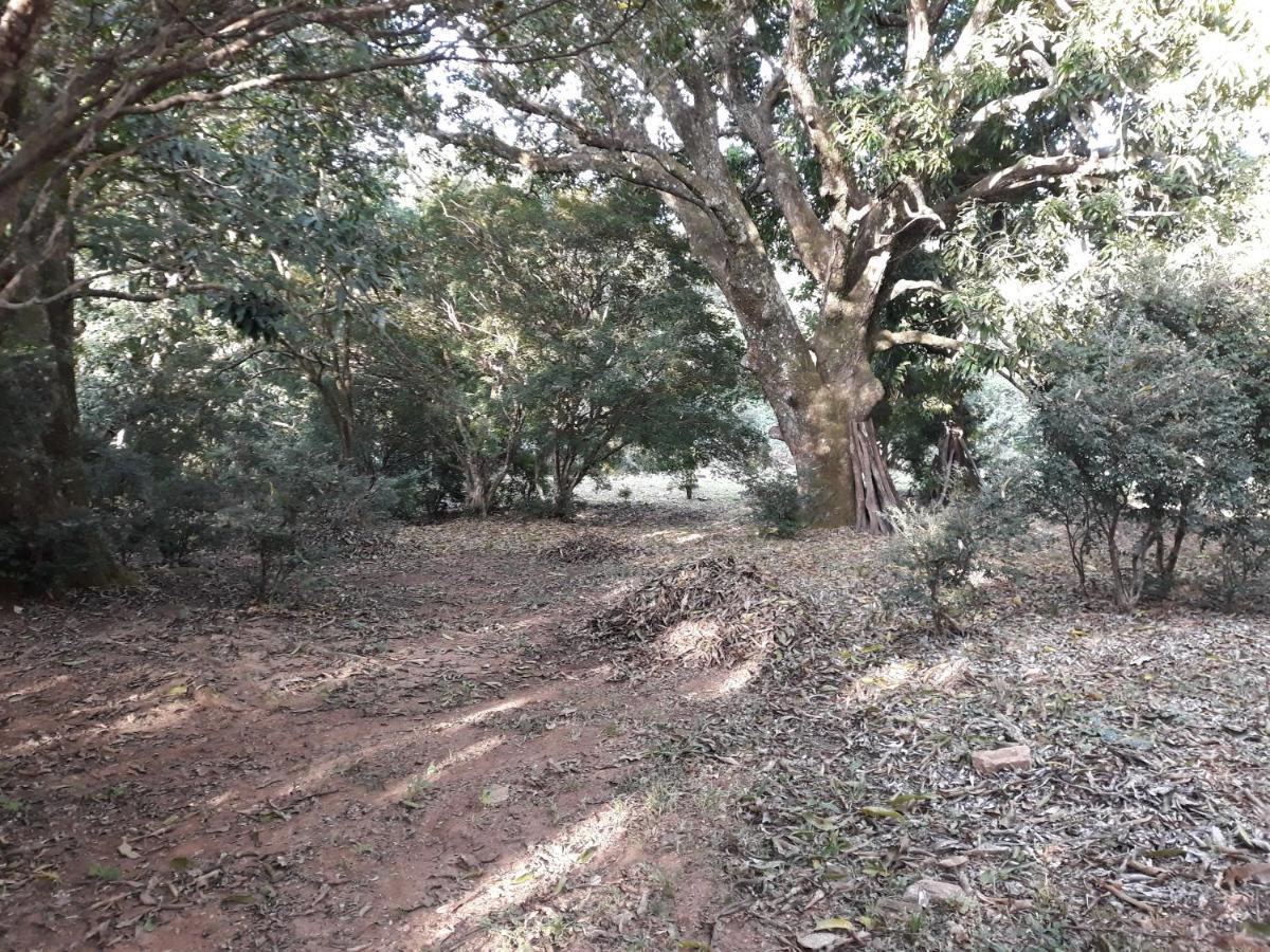 Chale Veredas E Buritis Pirenopolis Ngoại thất bức ảnh
