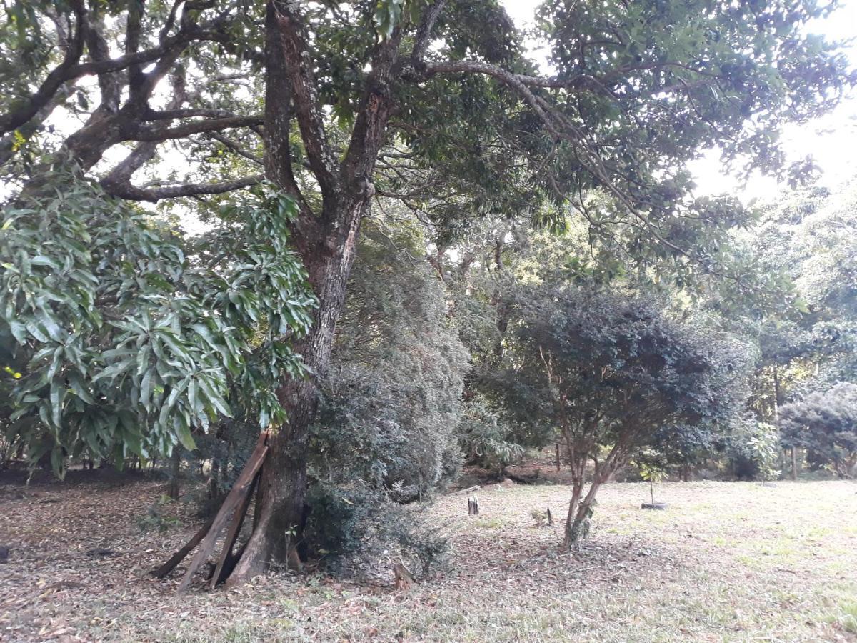 Chale Veredas E Buritis Pirenopolis Ngoại thất bức ảnh