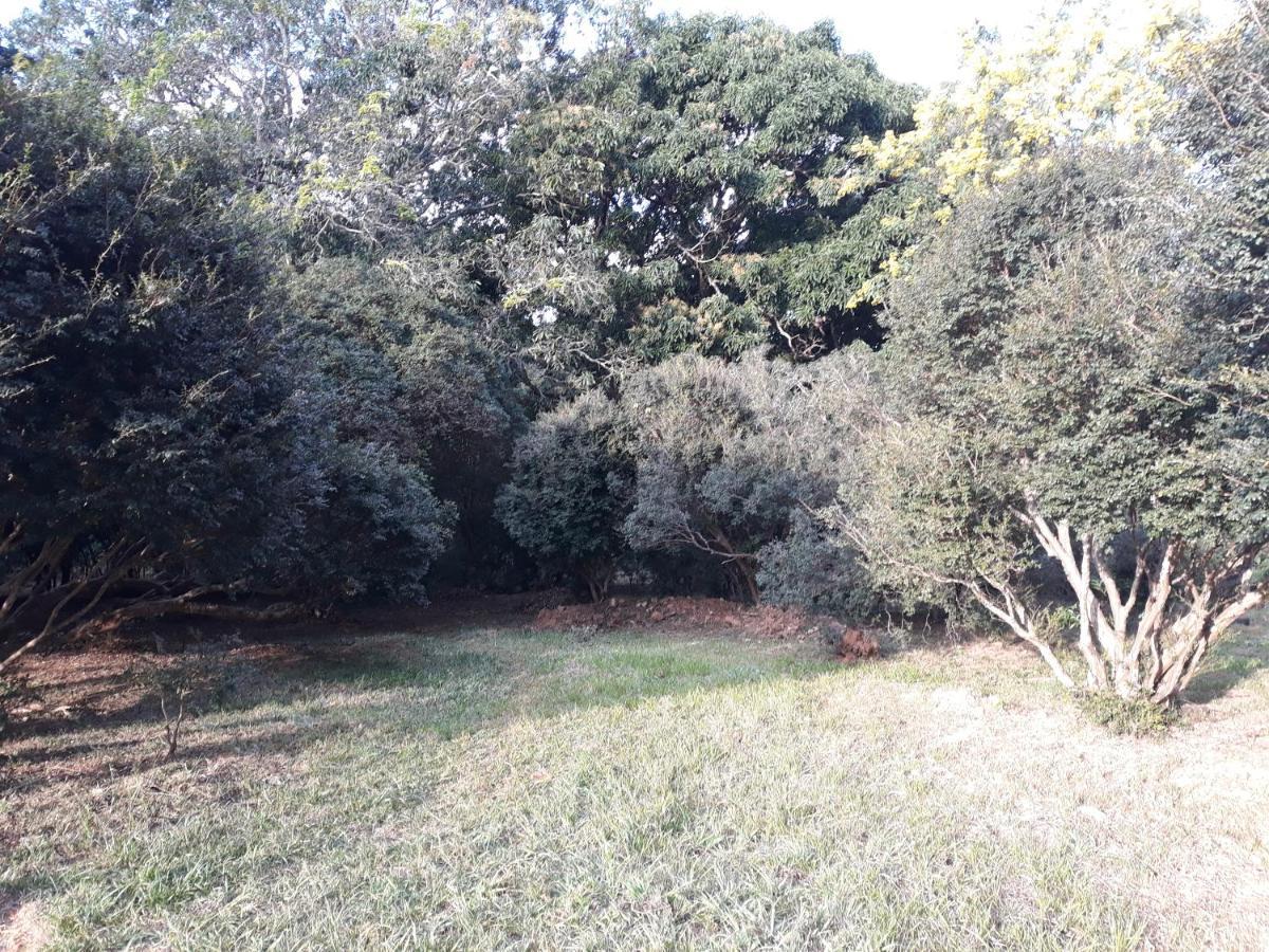 Chale Veredas E Buritis Pirenopolis Ngoại thất bức ảnh